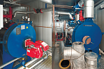 Газовый парогенератор промышленный THERMOJET Steam 700 с системой водоподготовки